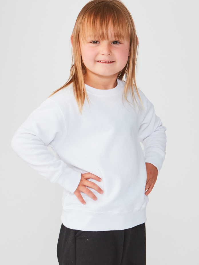 Toddler Unisex Crewneck Sweatshirt Thumbnail