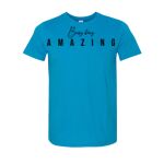 Adult Unisex Soft Style T-Shirt Thumbnail